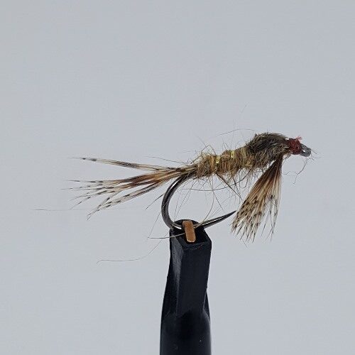 BN Gold Ribbed Hares Ear #14 500x500