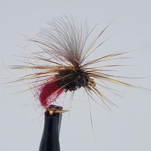 Barbed Klinkhammer CLaret