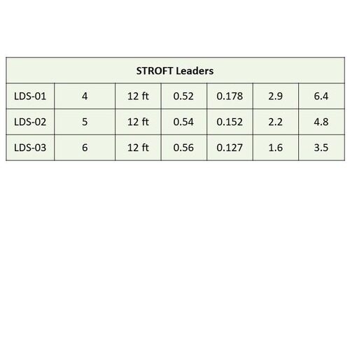 Stroft Leader Profile