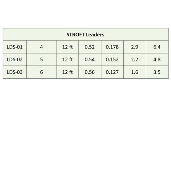 Stroft Leader Profile