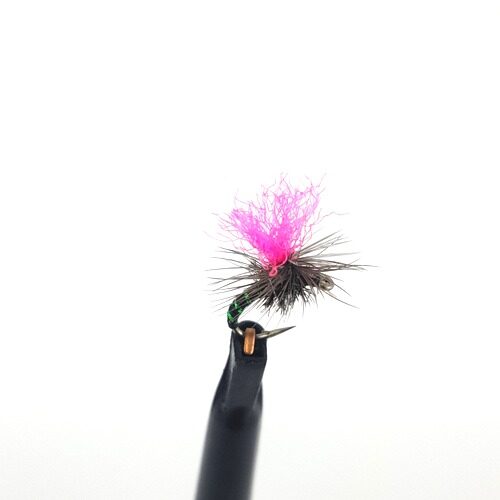Dry size 14 barbed Hawkie Pink