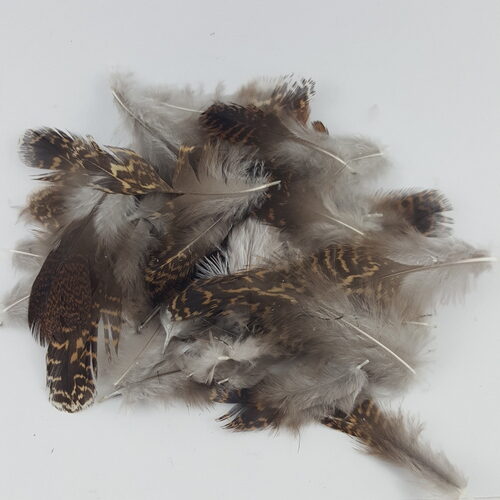 Grouse 2