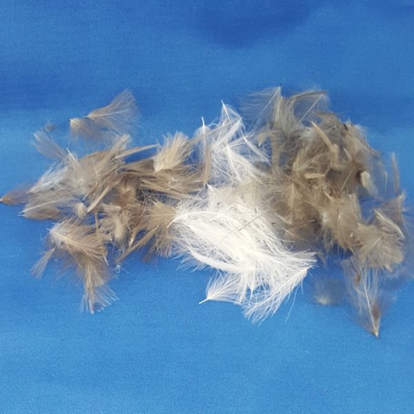 Dohuki CDC Feathers