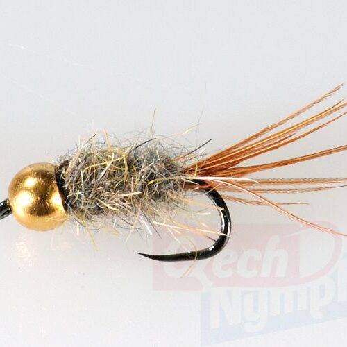 Goldhead_Hare_Ny