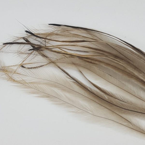 Emu Feathers - SELECT pack