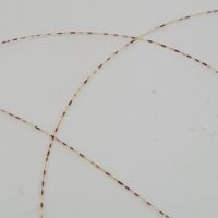 XStream  Chameleon Monofilament Tippet - Image 3