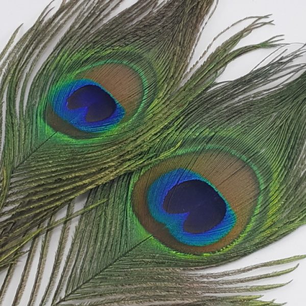 Flyfinz Peacock Eye & Herl