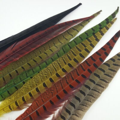 Pheasant tail collage1