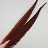 Pheasant tail orange1