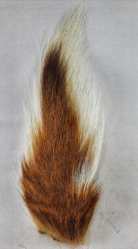 XStream  -  Buck Tail - Image 3