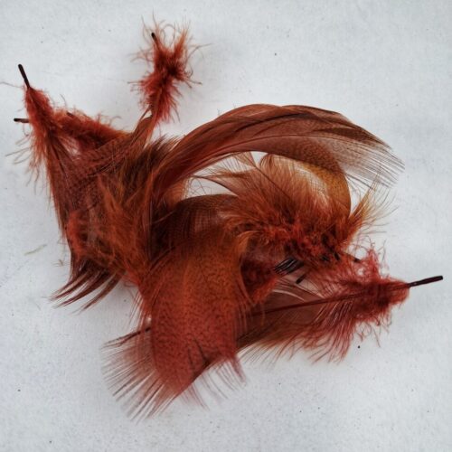 mallard firey brown