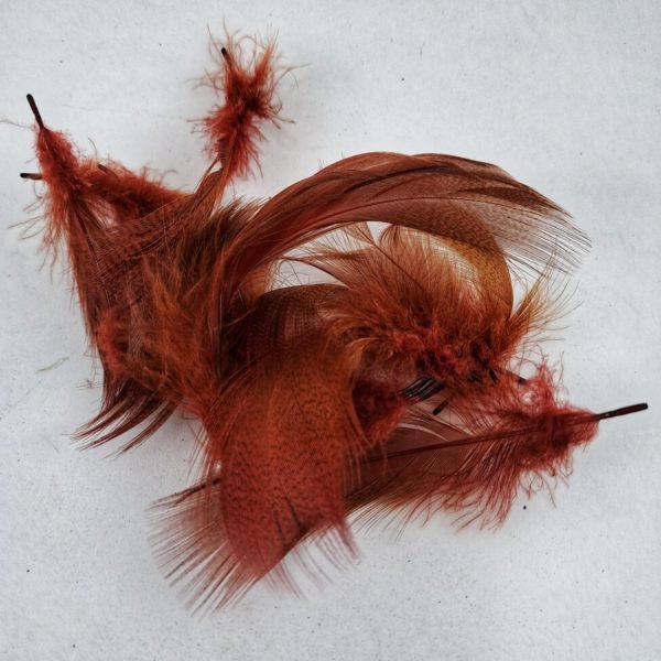 mallard firey brown