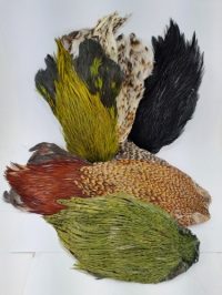 XStream Hen Neck Capes