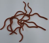 XStream  Squirmy Worms  Colour Packs - Image 7