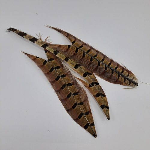 Dohiku Pheasant Tail nat PT01