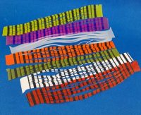 Silicon Legs - Barred .20mm  - XStream