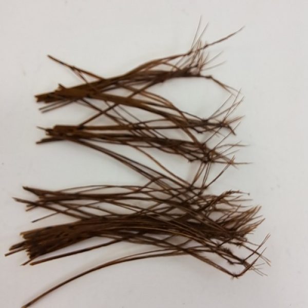 Hopper Knotted  Pheasant Tail fibres - Veniard