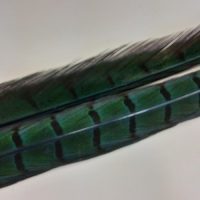 Pheasant Tail  - Cock Centre Tail - Veniard - Image 12