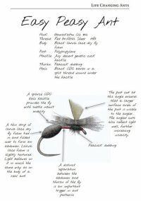 The Feather Mechanic II - Gordon van der Spuy - Image 7