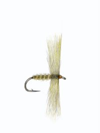 The Feather Mechanic II - Gordon van der Spuy - Image 3