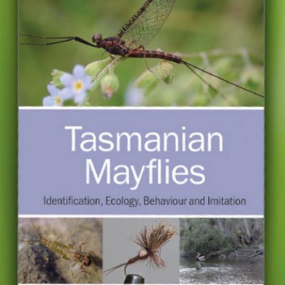 Tasmanian Mayflies -  Ron Thresher
