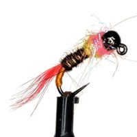 Tungsten Black Head Pink Collar Jig Nymph