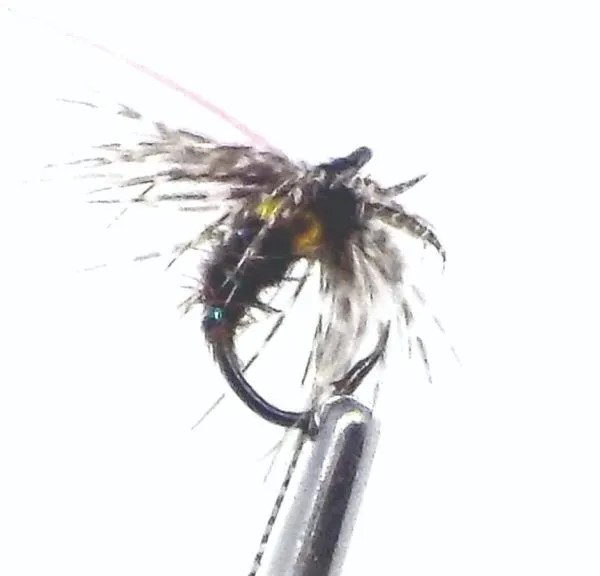 Tungsten Gold Head Wee Wet  - Natural Hackle Nymph