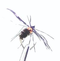 Tungsten Copper Head Wee Wet  - Green Flash Purple Hackle Nymph