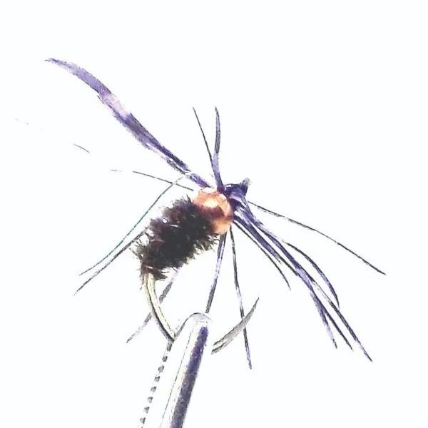 Tungsten Copper Head Wee Wet - Green Flash Purple Hackle Nymph