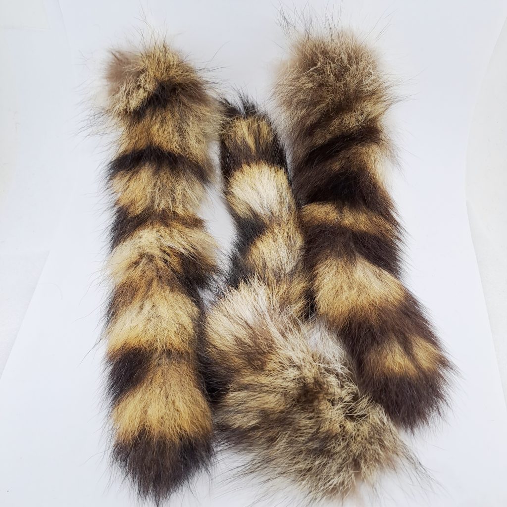 Racoon Tails - Genuine Natural Tails - Canada