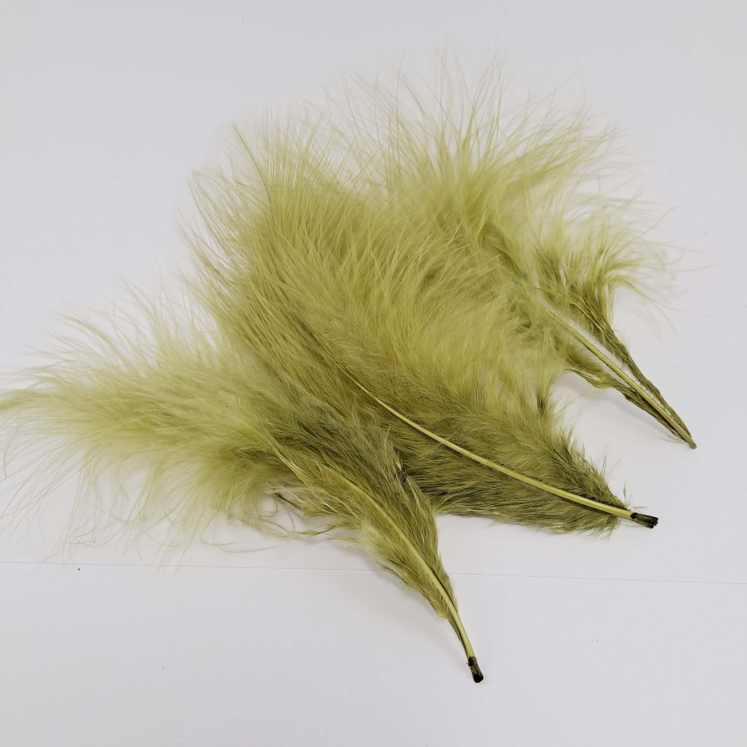 MArabou Olive Dun 39