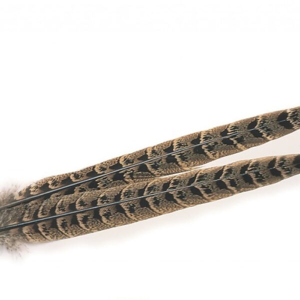 Pheasant Tail - Hen Ringtail Centre Tail - Veniard