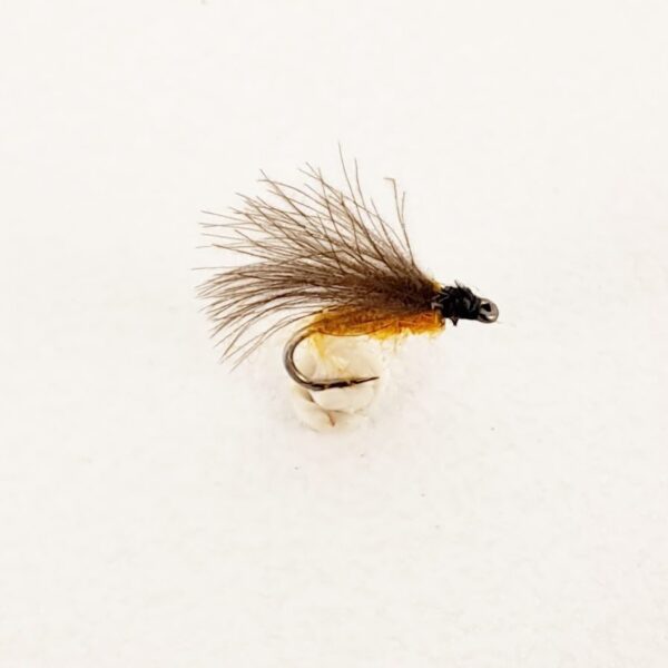CDC F Fy - Honey Sedge