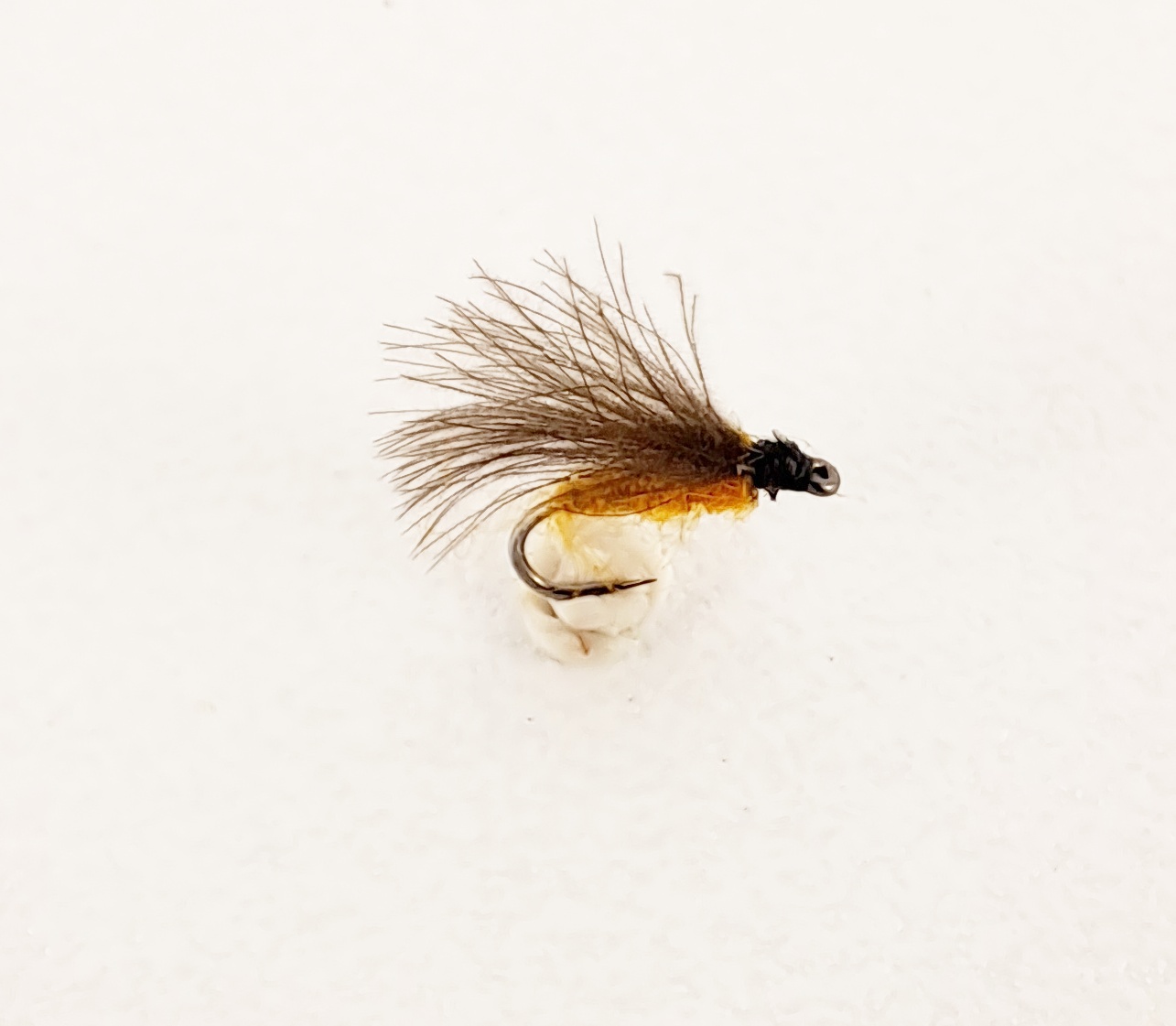 CDC F Fy - Honey Sedge
