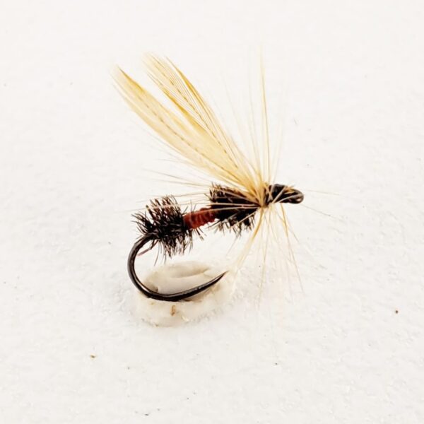 Hackled Red Ant