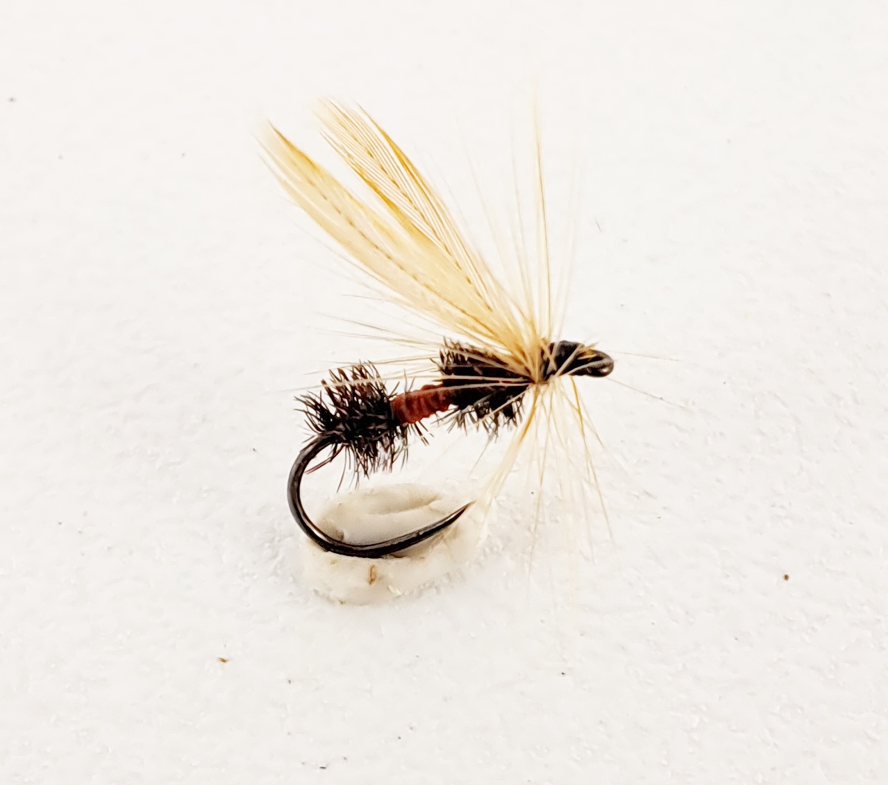 Hackled Red Ant