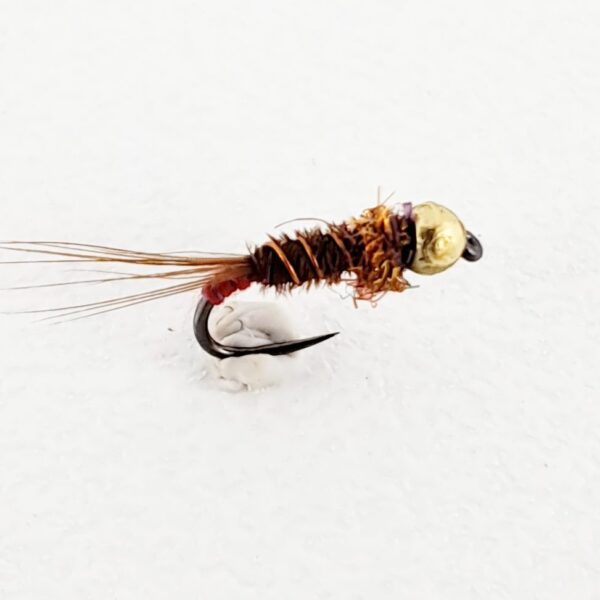 Gold Head Pheasant Tail Copper Collar Nymph