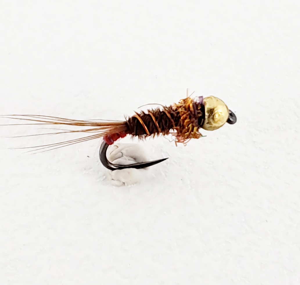 Gold Head Pheasant Tail Copper Collar  Nymph