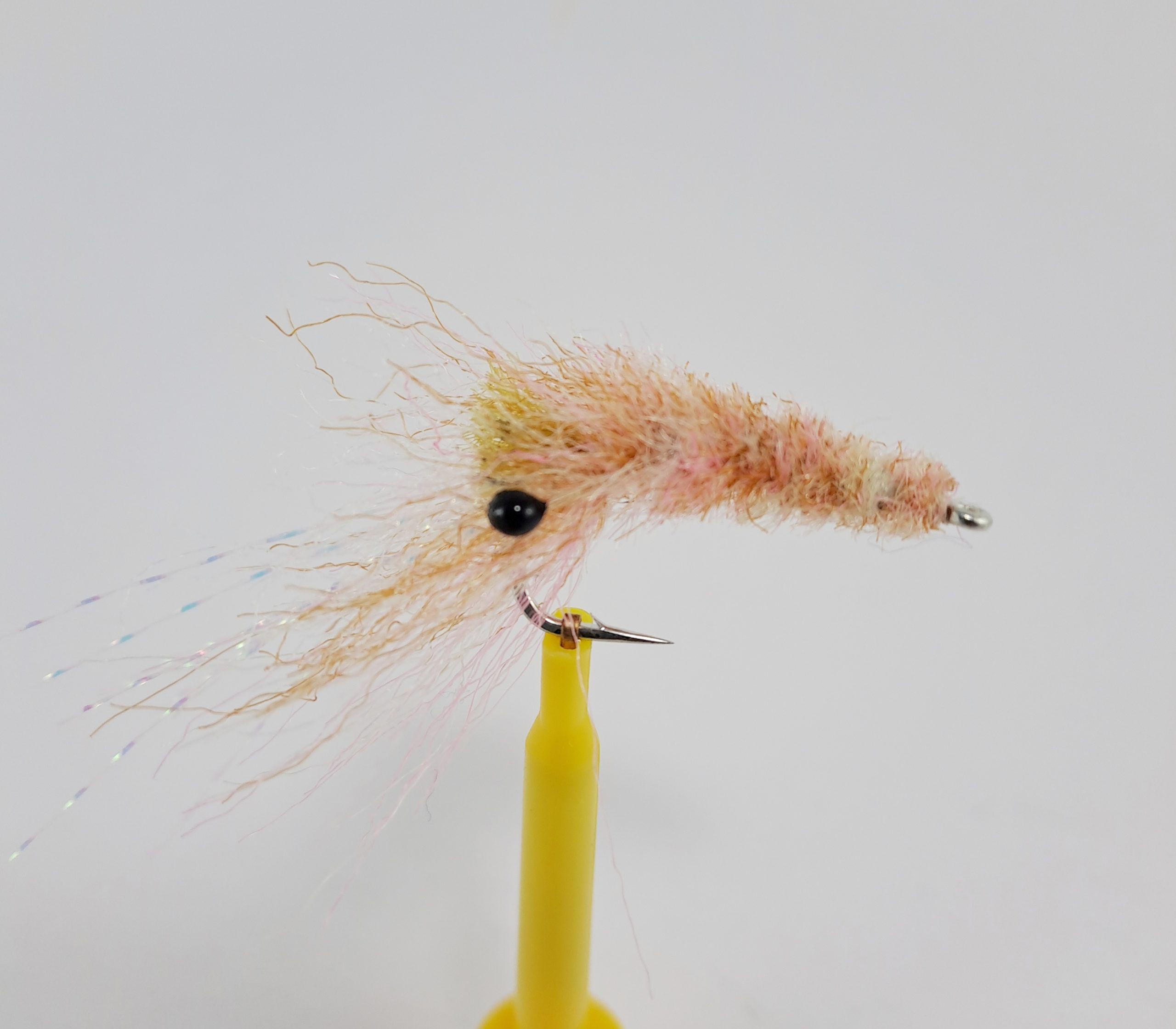 bunshrimp