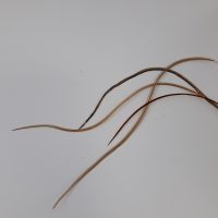Saddle Feather Packs - HENDS - Image 2