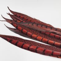 Pheasant Tail  Packs - XStream - Image 9