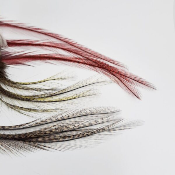 Coq De Leon - Mayfly Tails - HENDS
