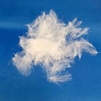Dohuki CDC Feathers - Image 5