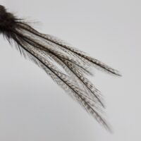 Coq De Leon - Mayfly Tails  - HENDS - Image 3