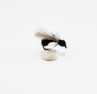 Black Ant - CDC