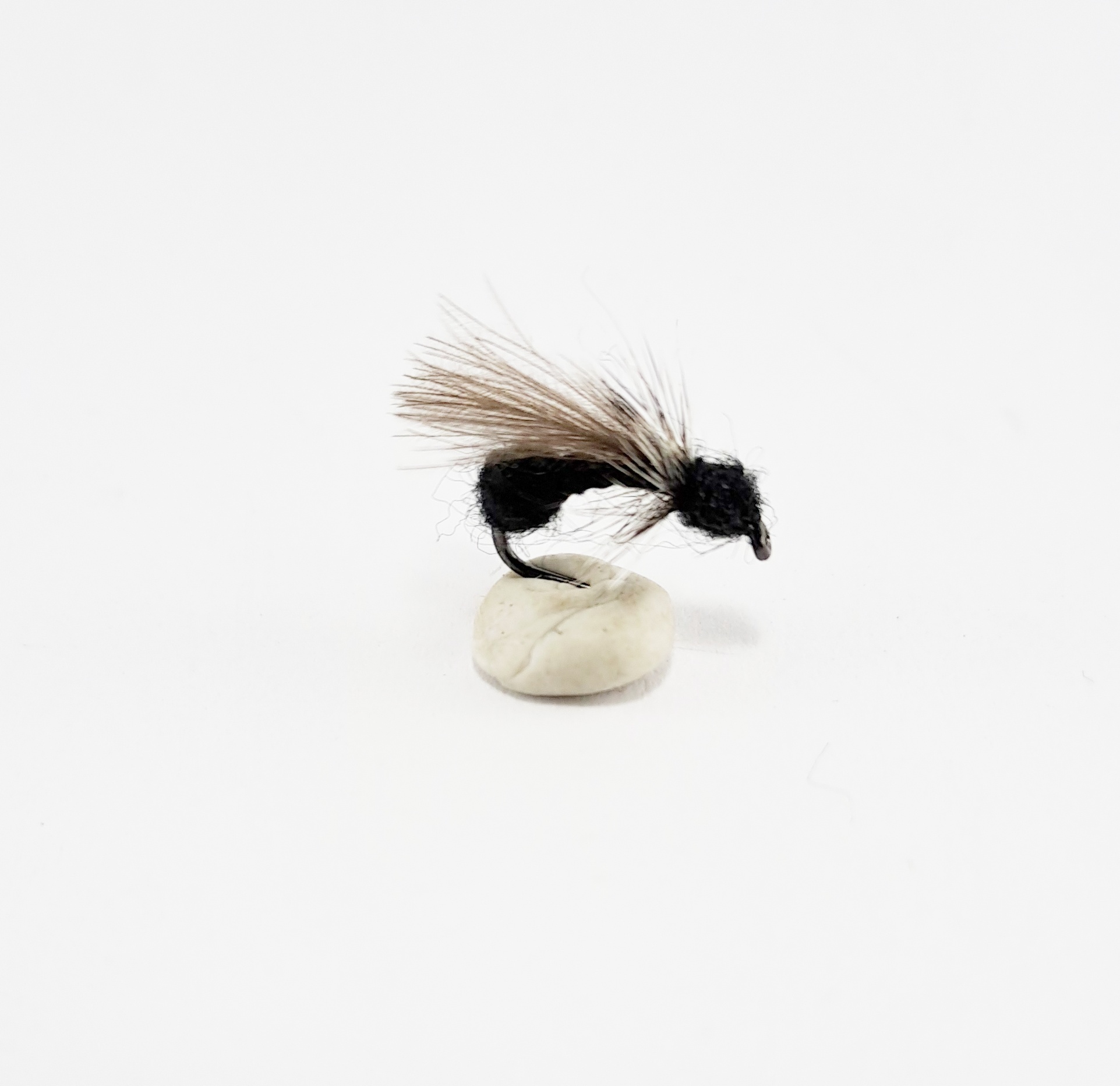 Black Ant - CDC