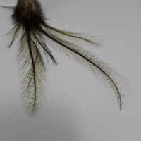 Coq De Leon - Mayfly Tails  - HENDS - Image 5